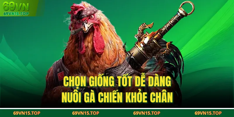 Chọn giống tốt dễ dàng nuôi gà chiến khỏe chân