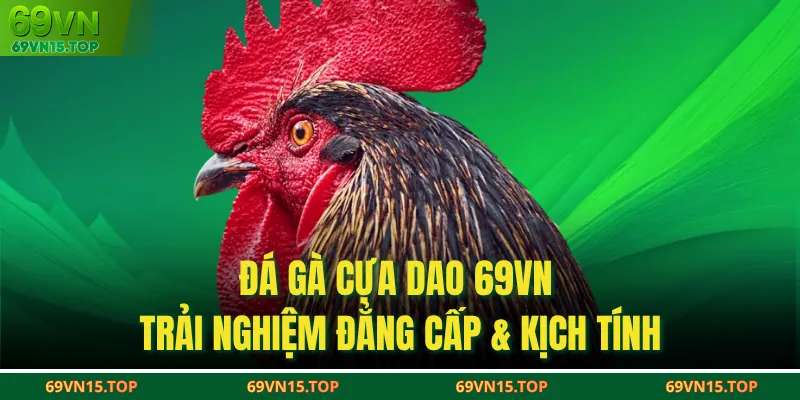 Đá Gà Cựa Dao 69VN – Trải Nghiệm Đẳng Cấp & Kịch Tính Đá Gà Cựa Dao 69VN – Trải Nghiệm Đẳng Cấp & Kịch Tính