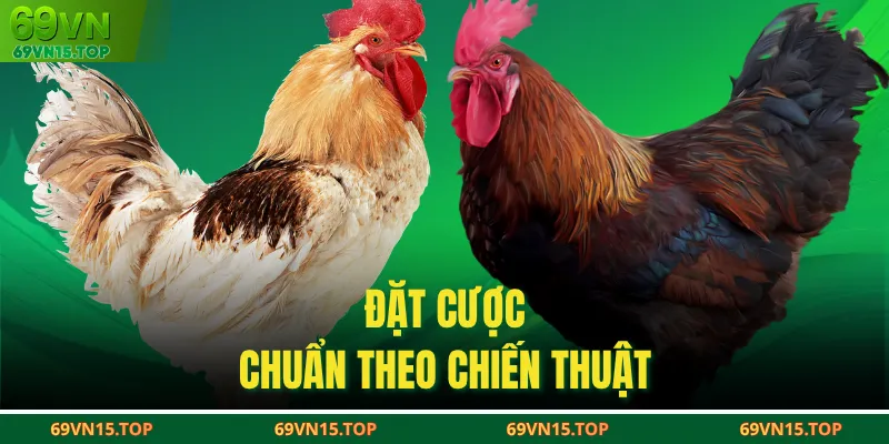 Đặt cược chuẩn theo chiến thuật