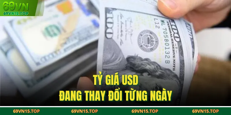 Tỷ giá USD đang thay đổi từng ngày