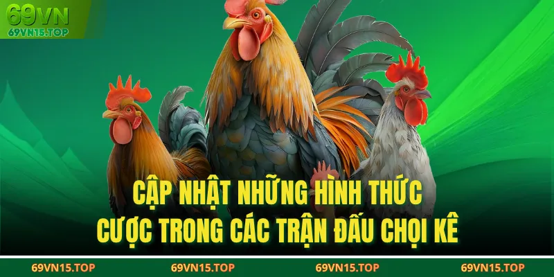 Cập nhật những hình thức cược trong các trận đấu chọi kê