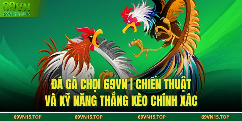 Đá Gà Chọi 69VN | Chiến Thuật Và Kỹ Năng Thắng Kèo Chính Xác