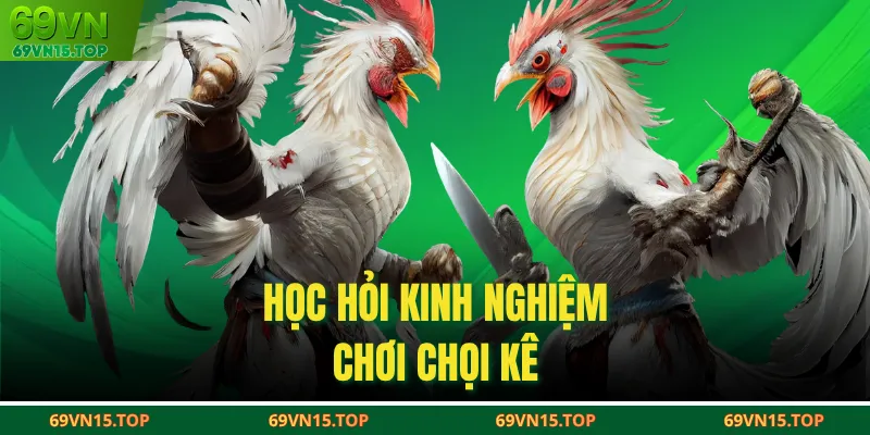 Học hỏi kinh nghiệm chơi chọi kê