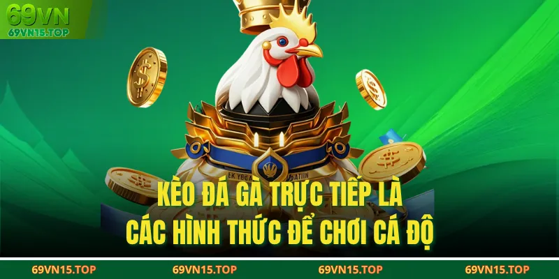 Kèo đá gà trực tiếp là các hình thức để chơi cá độ