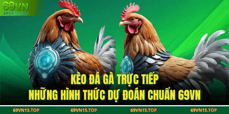 Kèo Đá Gà Trực Tiếp - Những Hình Thức Dự Đoán Chuẩn 69VN